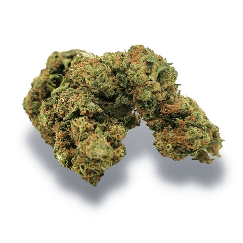 Xtrem Amnesia 20% Trop's 10g - undefined